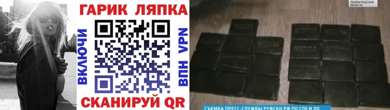 ГАШ VHQ  Электрогорск 