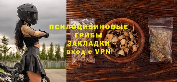 apvp Алексин