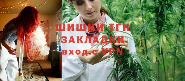 apvp Алексин