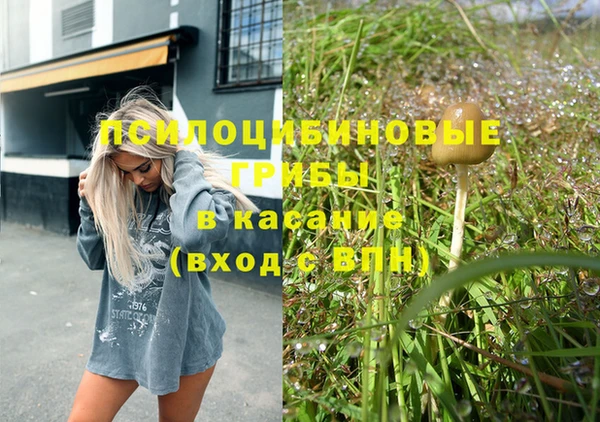 шишки Касимов