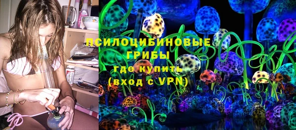 apvp Алексин