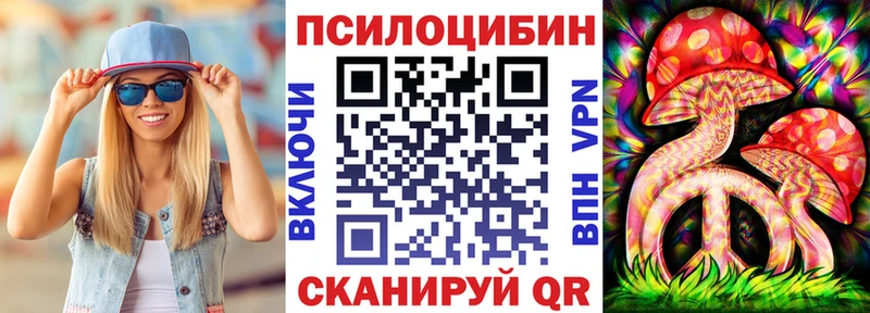 где купить   Электрогорск  Псилоцибиновые грибы Psilocybe 